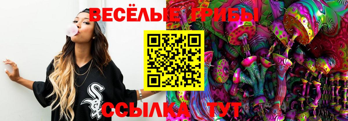 Галлюциногенные грибы мицелий Карачаевск