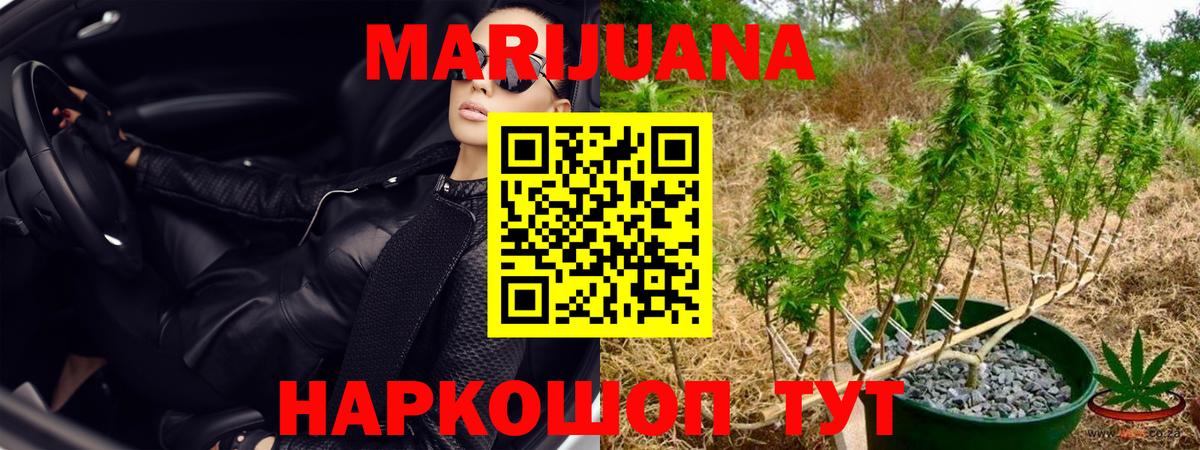Бошки Шишки гибрид  Бошки Шишки конопля  Вход с VPN  Карачаевск 